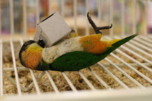 Load image into Gallery viewer, Eco-Forage Box for Small Animals 6 pieces 1&quot; x 1&quot; x 4&quot;
